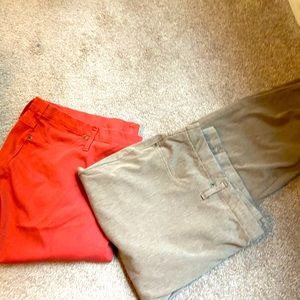 Lot of 2 plus size Fall skinny jeans!
